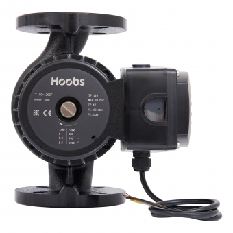 Насос циркуляционный Hoobs CT 65-100SF 300мм 1000Вт (фланец)