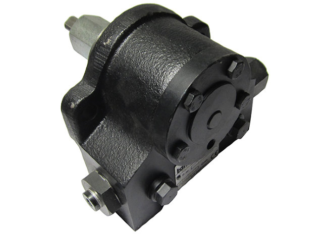 Топливный насос (BT 300 DSN, BT 250 DSG 4T) арт. 5060020 (3-19-8020) в Красноярске